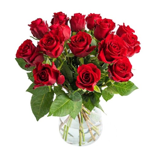 Bouquet of 15 red roses